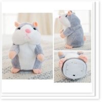 Con chuột hamster biết nói theo tiếng người