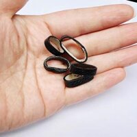 Con đỉa dây đồng hồ chất liệu DA ĐÀ ĐIỂU thật 100  CAM KẾT DA THẬT ĐỦ SIZE - Đen, Đen