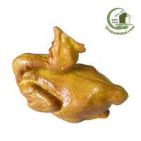 Con gà quay mô hình - Gà nướng giả - Thực phẩm giả cao cấp