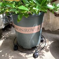 Con lăn tròn di động ròng rọc phanh di chuyển chậu hoa khay quạt điện làm vườn khay hoa đa năng bán