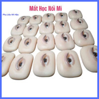 Con Mắt Có Mi Trên Vào Mi Dưới_Mắt tập nối siêu thực,Mi mắt tập nối đa tầng,Mắt giả tập nối mi - Mi Siêu thực học nối