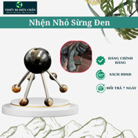 Con Nhện Sừng Đen Nhỏ - Massage Thư Giãn, Đánh Gió Giải Cảm - Dụng Cụ Diện Chẩn