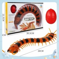 Con Rết Đồ Chơi Điều Khiển Từ Xa-Pin Sạc