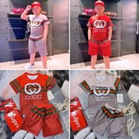 [Còn size 28-33kg] [SALE] Set bộ BIBIKIDS thun lạnh hoạ tiết GC cho bé