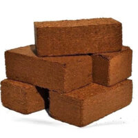 Conbo 10 viên nén sơ dừa giá rẻ