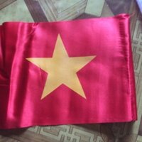 Conbo cờ TQ cầm tay