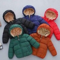 Công áo phao lót lông và áo gile i