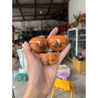 Cóng chim hoạ tiết - lồng chào mào