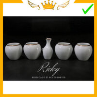 Cóng chim khuyên đẹp Ricky, cóng khuyên bạch viền vàng kim bộ 5 cái đã kèm tai cóng tàu  (Ricky bird shop)