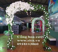 Cổng cươi hoa cẩm tú cầu màu trắng - Mã: CH-082