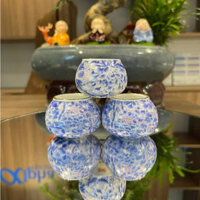 Cóng sứ chào mào hàng Bát Tràng mẫu Bách hoa xanh miệng viền kim gắn sẵn tai