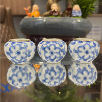 Cóng sứ chim chào mào hàng Bát Tràng mẫu vẽ tay miệng kẻ vàng gắn sẵn tai lồng chào mào