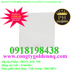 Công tắc 1 chiều Schneider M3T31_E1F_WE - Size E