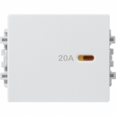 Công tắc 2 cực Schneider 8431MD20