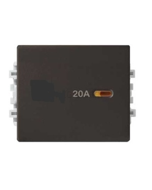 Công tắc 2 cực Schneider 8431MD20