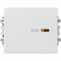 Công tắc 2 cực size M Schneider 8431MD20_WE_G19