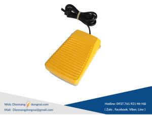 Công tắc bàn đạp Hanyoung HY-102