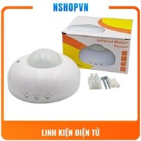 Công tắc cảm biến chuyển động hồng ngoại, ánh sáng thông minh 220v
