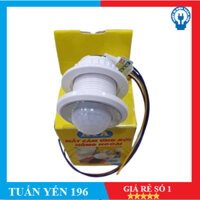 Công tắc cảm biến hồng ngoại tự động ATA AT-530 - hàng chính hãng