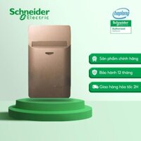 Công tắc chìa khóa thẻ Schneider A8431EKT_SZ 240VAC 16A Đồng ánh bạc