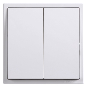 Công tắc đôi trung gian 10AX 701046