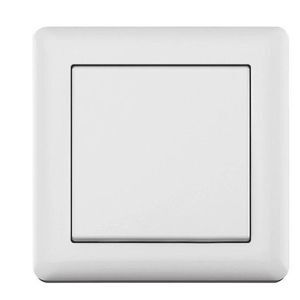 Công tắc đơn 1 chiều BR010101