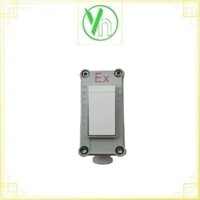 Công tắc đơn phòng nổ 1 chiều BQM-10A 1