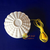 Công tắc giật dây