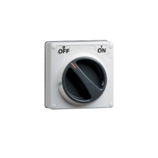 Công tắc S56SW263GY 500V 63A 2P SWITCH, IP66