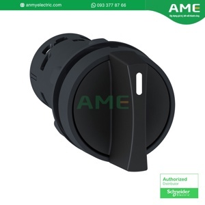 Công tắc xoay 2 vị trí Schneider XB7ND25