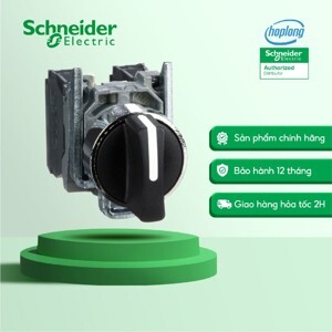 Công tắc xoay Schneider  XB4BD53