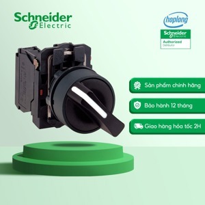 Công tắc xoay Schneider XB5AD25
