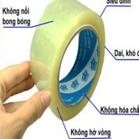 CÔNG TY TNHH TM DV NGUYỄN NHÂN LONG AN