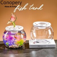 Conopery Bể Cá, Bình Thủy Canh Nhựa Trong Suốt, Trang Trí Nhà Trong Suốt Văn Phòng Bể Cá Bình Đựng Cá Văn Phòng Để Bàn