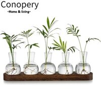 Conopery Bình thủy canh, trong suốt có khay gỗ Trạm nhân giống Terrarium, Bình hoa hiện đại Bình hoa trang trí nhà cửa