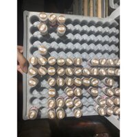 Contact lens Hàn Quốc ( 1 cặp )