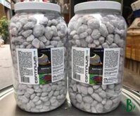 Continuum Bacto Rox M 1L