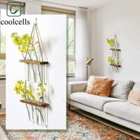 Coolcells Ống thử thủy canh treo gỗ, Bình đựng khung gỗ nhiều lớp cổ điển, Chậu hoa dày trong suốt treo tường Bình thủy tinh trong suốt Ban công