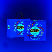 COSY BÁNH QUY BƠ THẬP CẨM VỊ BƠ SỮA 315G – Hộp giấy