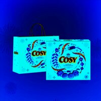 COSY BÁNH QUY BƠ THẬP CẨM SOCOLA 315G – Hộp giấy