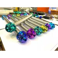 Cốt bánh trước sau titan gr5 10ly 12ly 2 đầu tán , 2 đầu ốc và cốt ( Front Rear Axle for Bike )