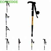Cột đi bộ ECHOEDGE, Gậy đi bộ chống trượt gấp, Phụ kiện du lịch dành cho người cao tuổi Đa chức năng Di động 4 phần Nạng có thể gập lại Cắm trại