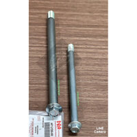 CỐT ĐÙM TRƯỚC-SAU RGV INDO