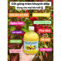 cốt gừng tràm khuynh diệp