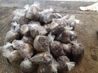 Cốt nền trộn nuphar 5kg