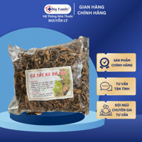 Cốt Toái Bổ – Tắc Kè Đá Khô Tốt Cho Can Thận, Xương Khớp