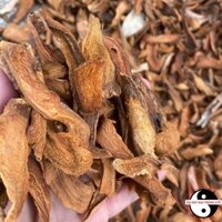 Cốt toái bổ, tắc kè đá khô loại 1 (vàng, dẹt) phơi khô từ cốt toái bổ rừng tươi thái lát giúp bổ thận, mạnh gân xương