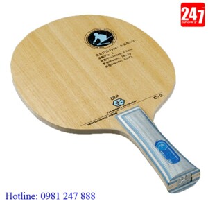 Cốt vợt bóng bàn 729 - C2