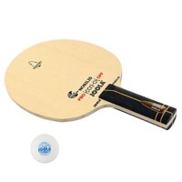 Cốt vợt Joola Nobilis