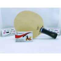 Cốt vợt Stiga Carbonado 190